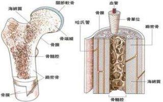 骨髓瘤有什么症状表现？